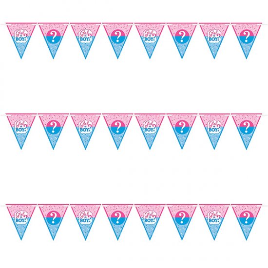 GIRL or BOY Bunting Banner